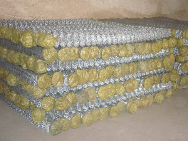 Galvanized chain link fence